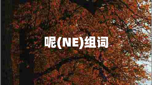 呢(NE)組詞