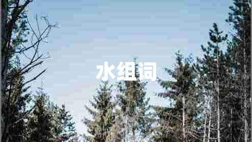 水組詞