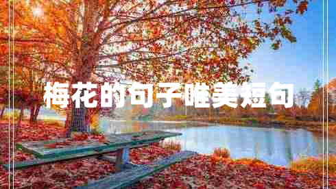 梅花的句子唯美短句 梅花的句子唯美短句