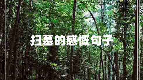 掃墓的感慨句子 掃墓的感慨句子