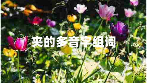 夾的多音字組詞