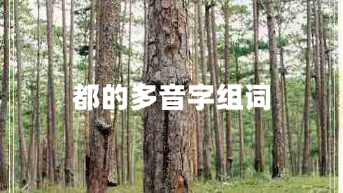 都的多音字組詞