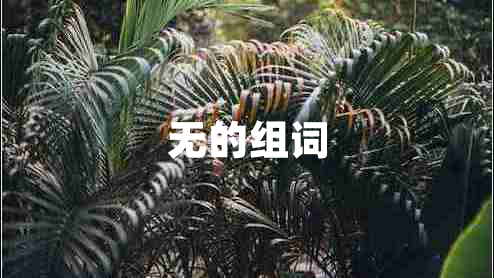 無(wú)的組詞