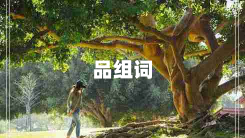 品組詞