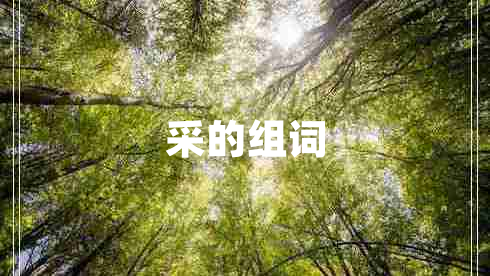 采的組詞