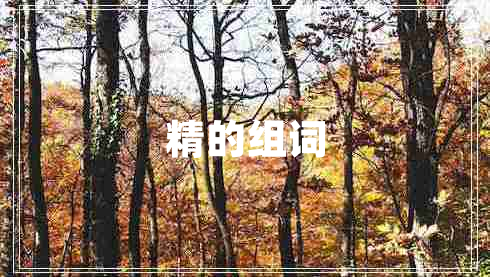 精的組詞
