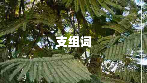 支組詞