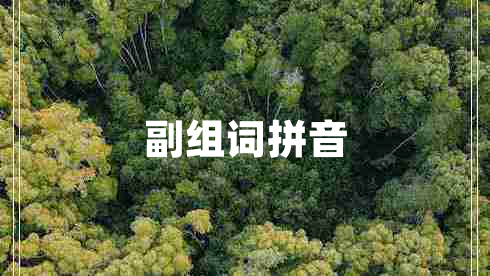 副組詞拼音