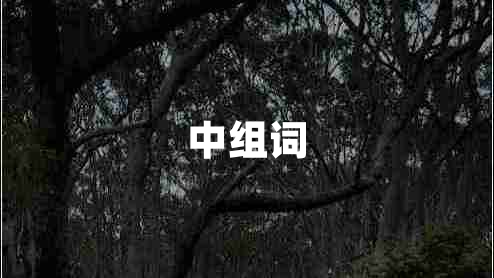 中組詞 中組詞