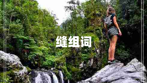 縫組詞