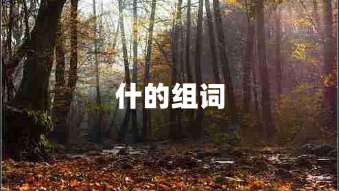 什的組詞
