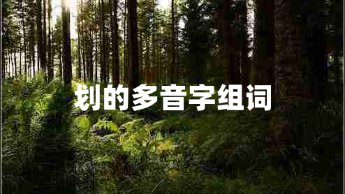 劃的多音字組詞 劃的多音字組詞