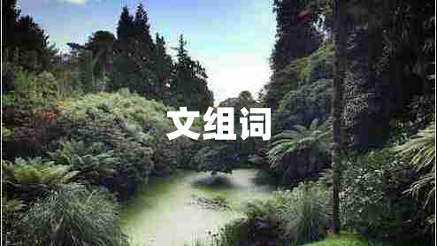 文組詞 文組詞