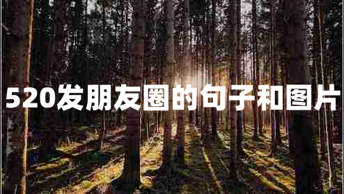 520發(fā)朋友圈的句子和圖片 520發(fā)朋友圈的句子和圖片