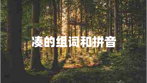 湊的組詞和拼音