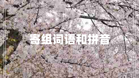 寄組詞語和拼音 寄組詞語和拼音