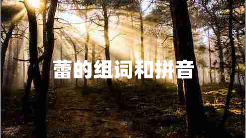 蕾的組詞和拼音