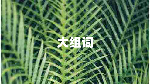 大組詞 大組詞