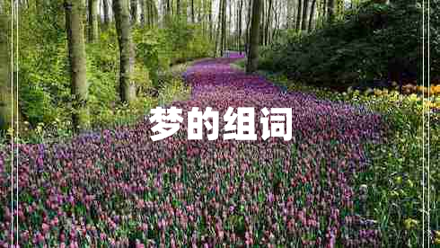 夢(mèng)的組詞 夢(mèng)的組詞