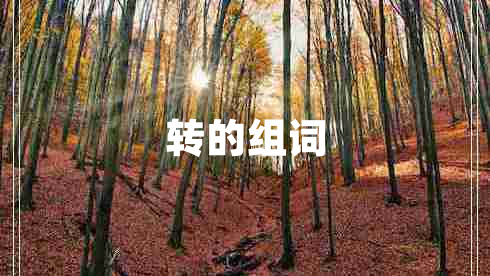 轉(zhuǎn)的組詞