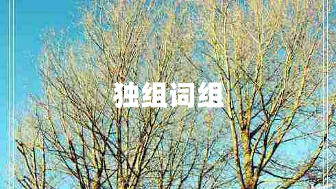 獨(dú)組詞組 獨(dú)組詞組