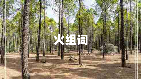 火組詞 火組詞
