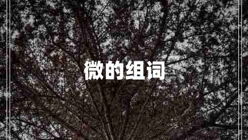 微的組詞