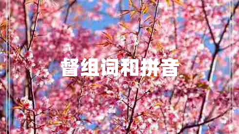 督組詞和拼音