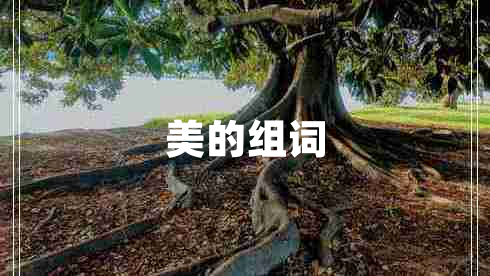 美的組詞 美的組詞