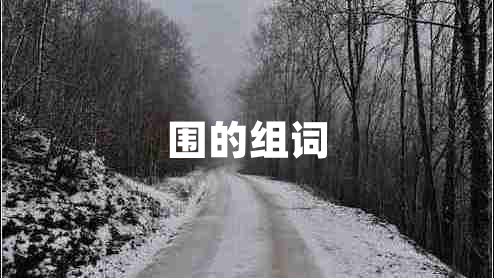 圍的組詞