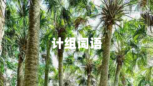 計(jì)組詞語