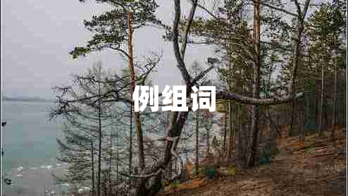 例組詞