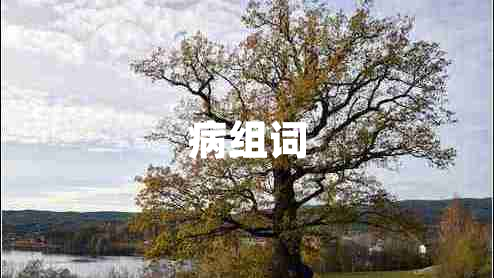 病組詞