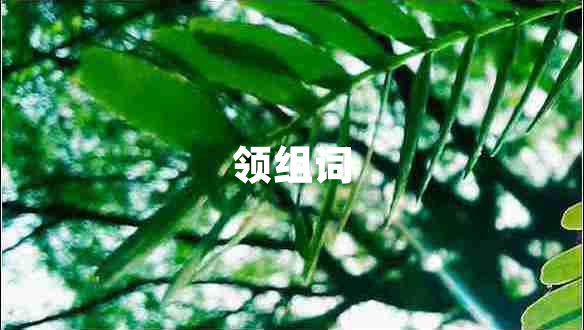領(lǐng)組詞 領(lǐng)組詞