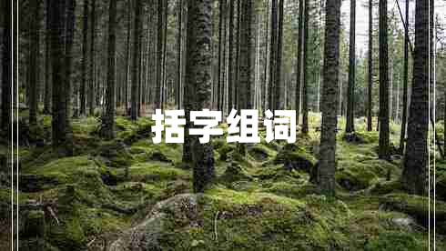 括字組詞