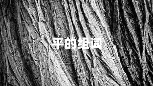 平的組詞