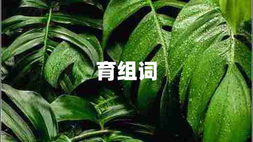 育組詞 育組詞