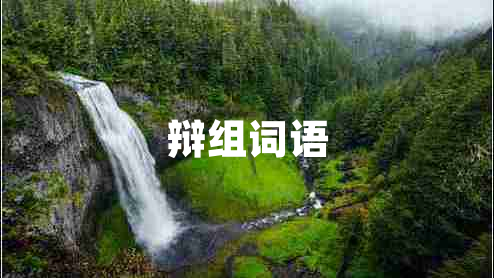 辯組詞語 辯組詞語