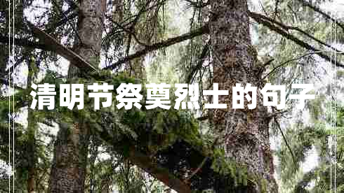 清明節(jié)祭奠烈士的句子 清明節(jié)祭奠烈士的句子