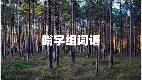 嗡字組詞語(yǔ)