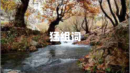 猛組詞