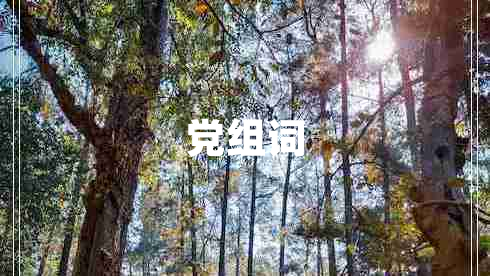 黨組詞