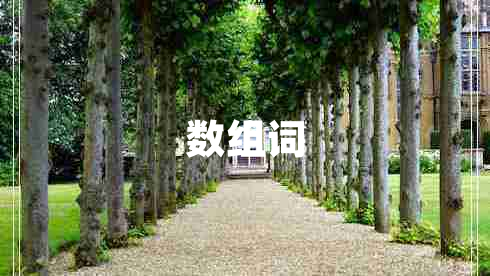 數(shù)組詞 數(shù)組詞