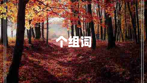 個(gè)組詞