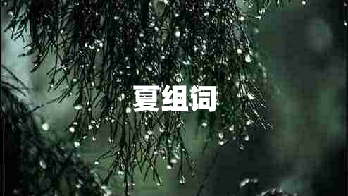 夏組詞 夏組詞