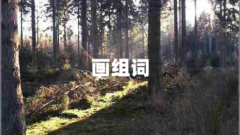 畫組詞 畫組詞