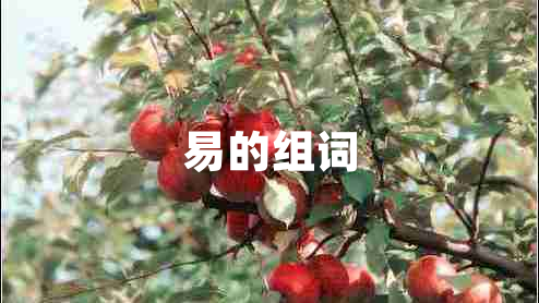 易的組詞 易的組詞