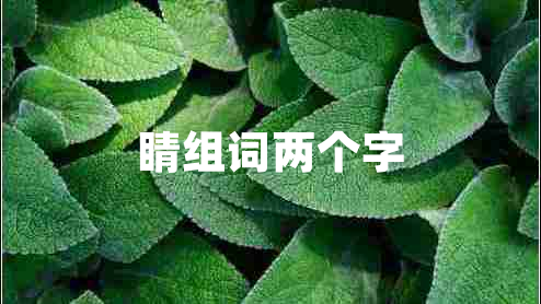 睛組詞兩個(gè)字