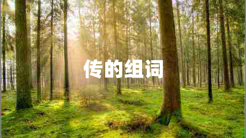傳的組詞 傳的組詞