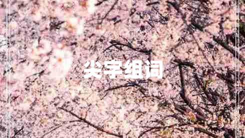 尖字組詞 尖字組詞